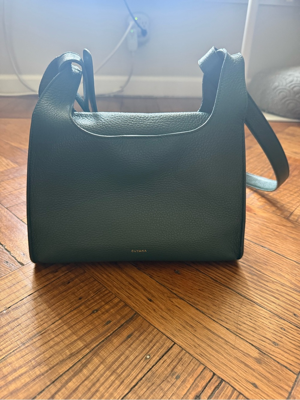 Cuyana RARE Bottle Green Double Loop Pebbled Leather Bag, Excellent Condition - Picture 5 of 16